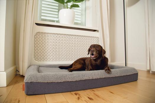 Beeztees orthopädisches Hundebett Yura, Bezug bei 60 Grad waschbar, wasserfest